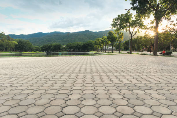 Best Custom Driveway Pavers  in White Sulphur Springs, WV